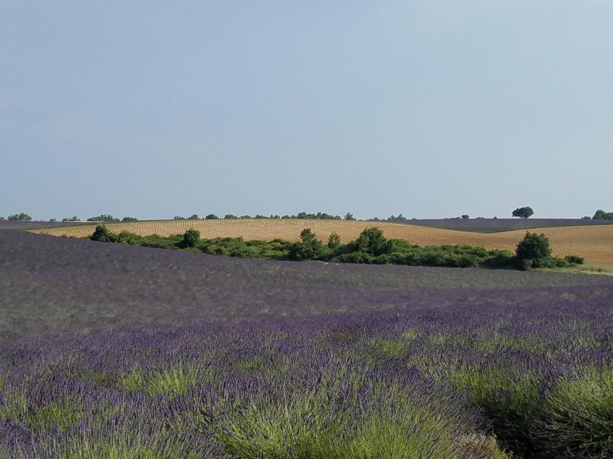 Gite Les Fourches Baudinard 外观 照片